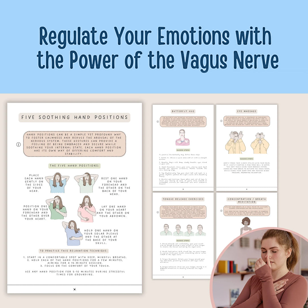 Nervous System Regulation Workbook