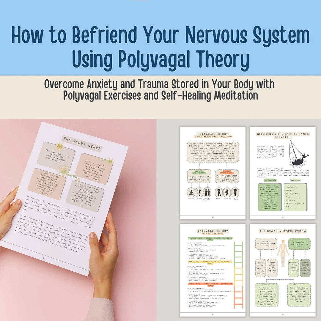 Nervous System Regulation Workbook